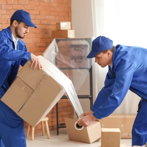 shutterstock_2358662853